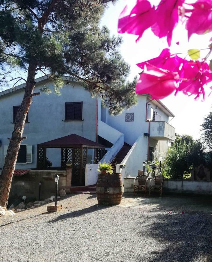 Casa Vacanza Il Mandorlo Domusnovas Extérieur photo